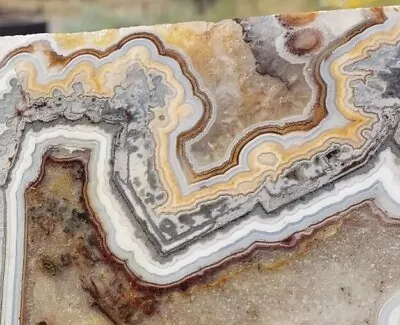 Crazy LAGUNA LACE AGATE -Mexico- Quality XXL Rough End Cut (1 Pound 5 Ounces) • $125