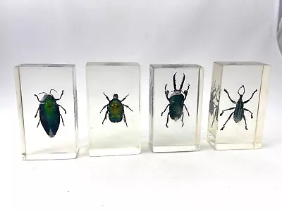 Vintage Insect Specimens In Lucite - Blue - Set Of 4 • $65