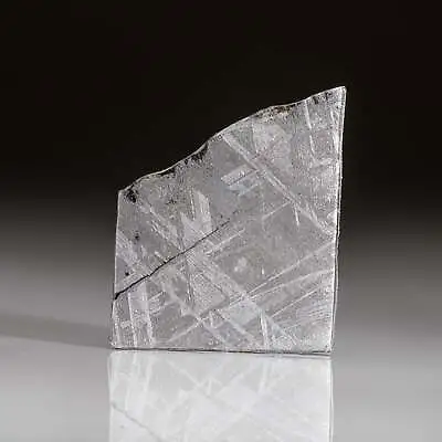 Genuine Muonionalusta Meteorite Slice (6.9 Grams) • $280