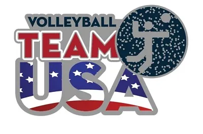 2020 Tokyo USA Olympic Volleyball Team Glitter Pictogram NOC Sports Pin • $7.95