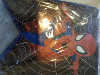 $10 • Buy Spiderman Birthday Party Supplies