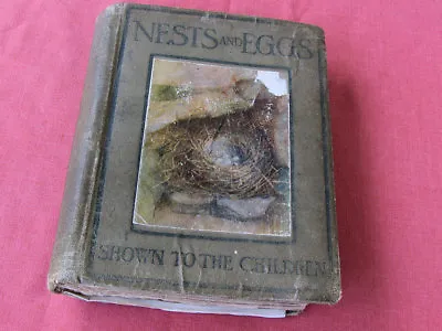 £12.50 • Buy Nests And Eggs - Shown To The Children Blaikie Edited By Chisholm 48 Pictures