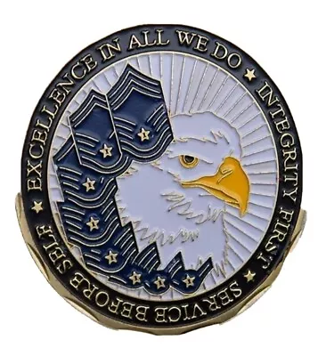 U.s.a.f. United States Air Force Airmans Creed Challenge Coin Goldfree Ship • $9.99