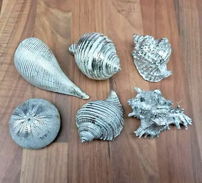 Artificial Silver Metal Effect Sea Shell Set 6 Ornament Bathroom Decoration • £24