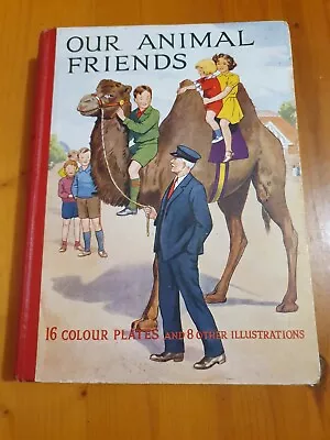 Our Animal Friends By Golding. Tarrant. Childrens Picture Story Book. C1930's  • $19.57