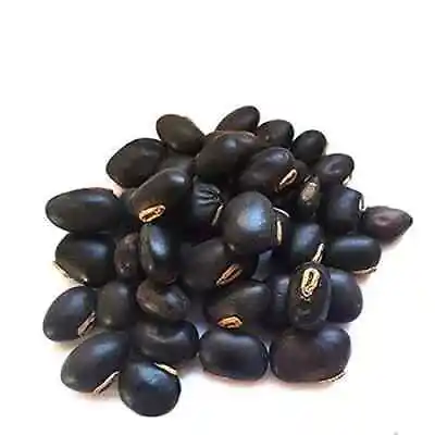 Black Kaunch Seeds Mucuna Pruriens Indian Velvet Bean Konch Beej 50g To 2Kg • $10.49