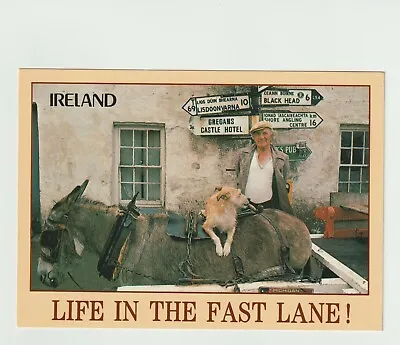 Ireland  -  Life In The Fast Lane  John Hinde Vintage Postcard • $5.50