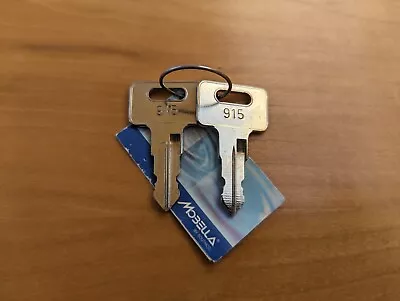 Southco Mobella 915 Cabin Door Boat Keys Pair • $20