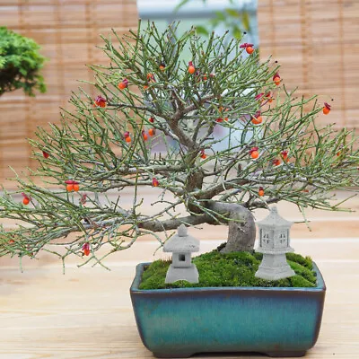Pagoda Garden Miniature Lantern Zen Ornament Asian Bonsai Decoration • $13.02
