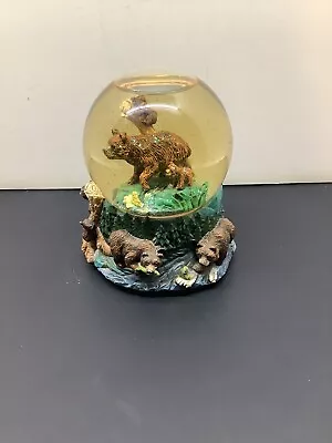 Brown Grizzly Momma Bear & Cub Musical Water Snow Globe Salmon Works! • $19.99