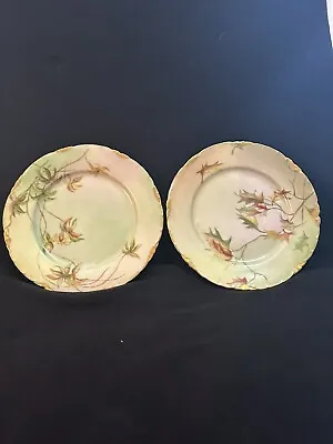 Rosenthal RC Versailles Bavaria Hand Painted Porcelain Plates 6 In. Set Of 2. • $12.99