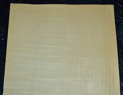 Maple Raw Wood Veneer Sheet 6.5 X 24 Inches             6772-42 • $3.99