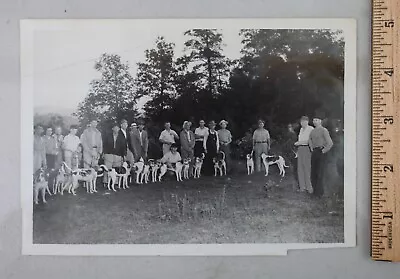 Vintage Photo Print 1940s Dog Show Contest Hounds Hunting Pointers • $12.99