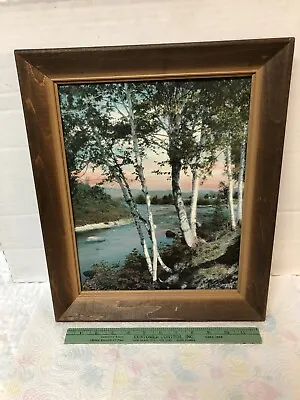 Magnificent Vintage Sawyer Lacquered Picture  Melody  NH Landscape Birch Trees • $35