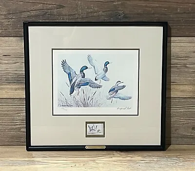 1985 Ducks Unlimited Duck Wildlife Conservation Print **MAYNARD REECE** • $99