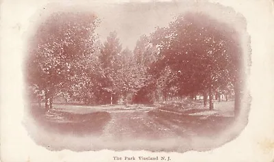 The Park Vineland New Jersey NJ - C1905 Vintage Postcard • $6.29