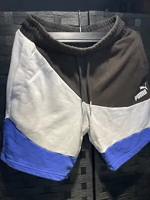 Puma Shorts Men • $11