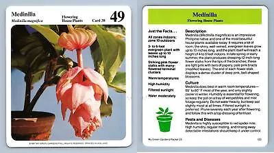 Medinilla #38 Indoors - My Green Gardens 1987 Cardmark Card • $1.58