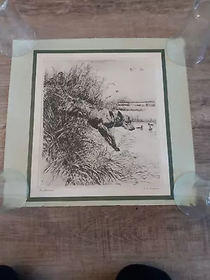 REINHOLD PALENSKE R.H. ETCHING  The Veteran  • $20