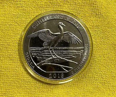 2018 America The Beautiful 5 Oz Silver Quarter Cumberland Island Georgia W/ Caps • $179.95