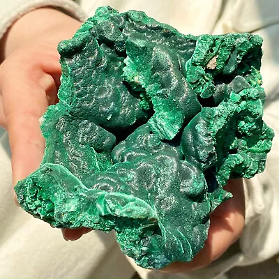 493G Natural Glossy Malachite Coarse Cat's Eye Cluster Rough Mineral Sample • $0.99