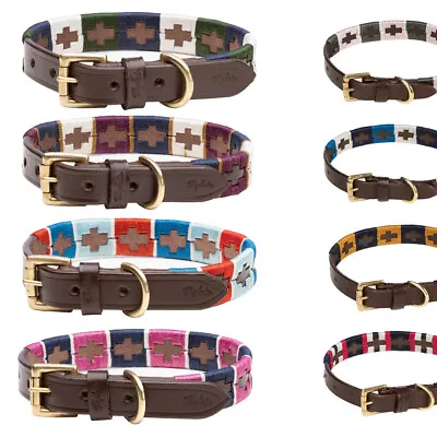 Rydale Polo Dog Collar Embroidered Adjustable Dog Puppy Hound Collars 10 Colours • £19.99