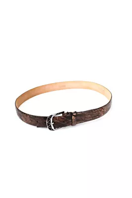 Tardini Mens Dark Brown Genuine American Alligator Skin Fashion Belt Size 38 • $158.01