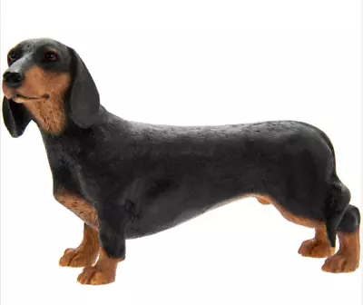  Miniature Standard Black Dachshund Dog Daschund Dog Gift Figure Figurine • $11.09