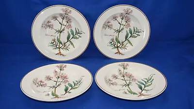 Villeroy & Boch Botanica (4) Soup Bowls 8 3/4  (BOX #3) • $85.88