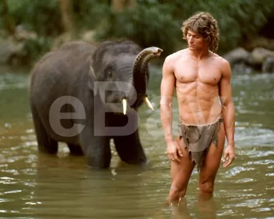 Tarzan The Ape Man (1981) Miles O'Keeffe 10x8 Photo • $4.18