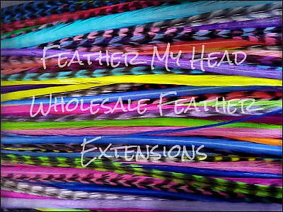 Feather Hair Extensions Super Long 11  - 14 In (28-36cm) 100 Pc Bright Colors • $200