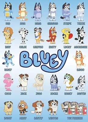 Bluey Characters Posters Ready To Frame - (A5-A0) - Gloss Or Satin Photo Paper • £8.99