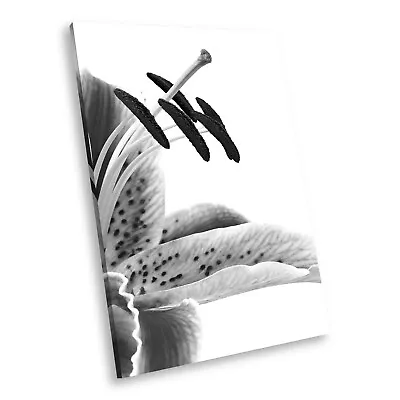AB119 Lily Flower Black White Abstract Portrait Canvas Picture Prints Wall Art • £19.99