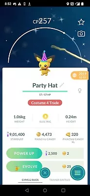 Pokémon Go Shiny Costume Pichu Party Hat • $150