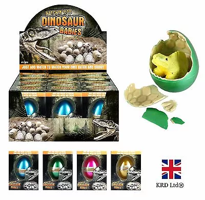 £5.44 • Buy GROWING EGG DINOSAUR Hatching Grow Dino Christmas Stocking Filler Birthday Gift