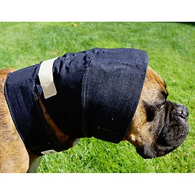 No Flap Ear Wrap For Dogs Small Premium Service Fast Dispatch • £25.14
