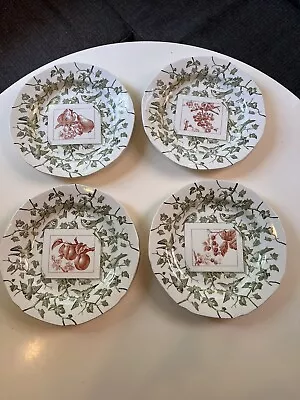 Mottahedeh England Adaptation Creil Circa 1865 Set Of 4 Dessert Or Salad Plates • $55