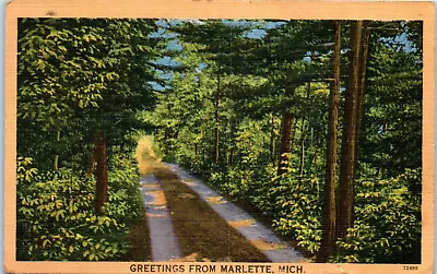 1940s Greetings From Marlette Michigan Sanilac County MI Linen Postcard • $6