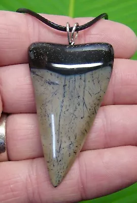 SHARKS TOOTH  Necklace - MAKO - 2 & 3/8 In. - SHARKS TEETH - For Men & Woman • $69