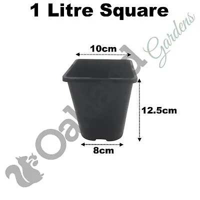 1 Litre Square Plant Pots 10cm ( 4  ) Black Plastic 1cm Deep Seed Flower Pot • £199.95