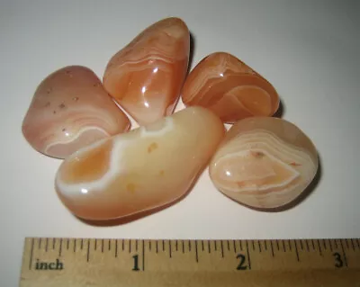 5 TUMBLED POLISHED 1 -1.8  APRICOT AGATE / CARNELIAN STONE MINERALS ~ 75.8gr *5 • $11.69