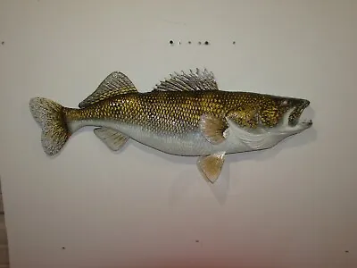 29  Walleye Mount Hand Made Trout Bass Salmon Mahi Redfish Catfish Pike Fish • $289.99
