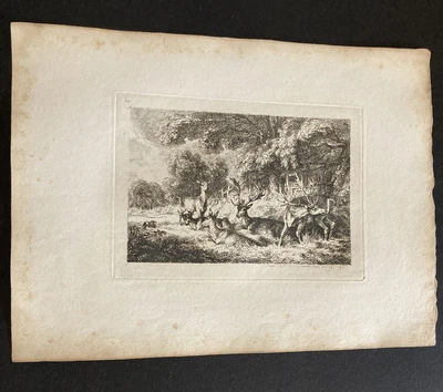 £9.99 • Buy Etching By Samuel Howitt DEER