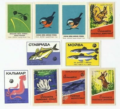 10 Soviet Latvia Matchbox Labels M/f Baltija ANIMALS BIRDS FISHES WILDLIFE ANTS • $6.49