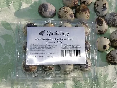 Quail Eating Eggs- 4 Dozen From Our Cage-Free Farm +  Free Quail Egg Scissors • $22.99