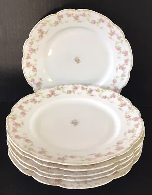 Antique MZ Austria Moritz Zdekauer Dinner Plates Pink Rose Set Of 6 Circa 1900 • $100