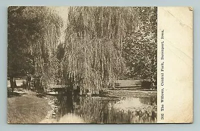 C 1908 The Willows Tree Central Park Davenport Iowa Postcard  • $3.99