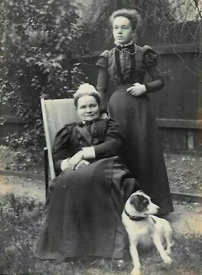 Edwardian CDV Photo Women Jack Russell Dog Inderwick Road Crouch End London • £18.99