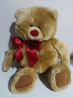 Cherry Nose 2001 Teddy Bear Hidden Pocket Large Stuffed Animal • $16.95