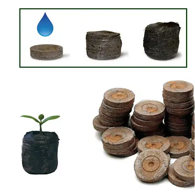 £6.29 • Buy JIFFY-7 Peat Compost Plug Seed Starter Grow Propagation Hydro Pellets 41 X 42mm